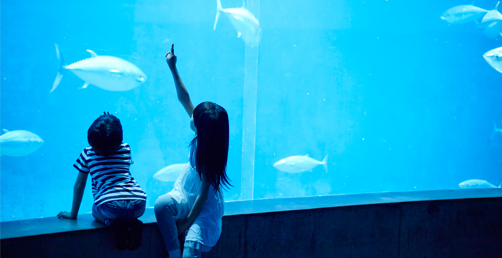 水族館